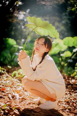 办公室3在线观看免费播放电视剧